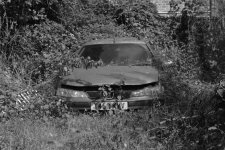 DSCF5018.a.jpg