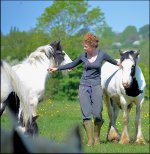 Woman with white horses Swindon D5100 14051709.jpg