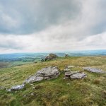 108 Arms Tor 02-000167200008 PS Adj Upload.jpg