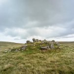 110 Arms Tor 04-000167200010 PS Adj Upload.jpg