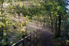 21-09-25 - 21-09-25 - DSC01121.jpg