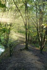 21-09-25 - 21-09-25 - DSC01122.jpg