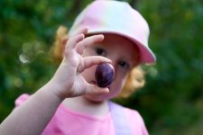 10-08-25 - 10-08-25 - DSC01094.jpg