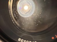 IMG_0130.jpeg