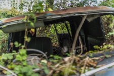 Old motors colour-3.jpg