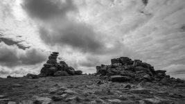 005 Gt Staple Tor 03-1000160 PS Adj Upload.jpg