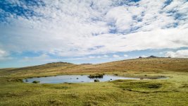 002 The Watering Hole 01-1000149 PS Adj Upload.jpg