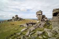 007 Gt Staple Tor 05-1000171 PS Adj Upload.jpg