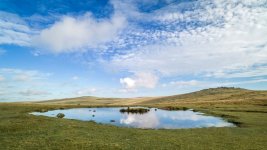 003 The Watering Hole 02-1000152 PS Adj Upload.jpg