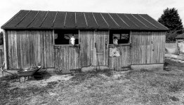 What you Looking at.jpg