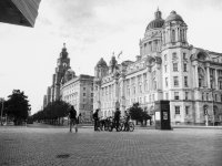 Liver Bird.jpg Liver Bird.jpg