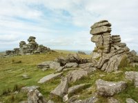 005 Gt Staple Tor (40mm) 05-000171000006 PS Adj Upload.jpg