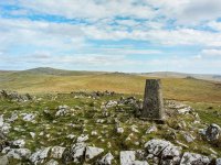 006 Cox Tor (40mm) 01-000171000007 PS Adj Upload.jpg