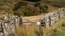 001 Newtake Gate 01-3471 PS Adj Upload.jpg