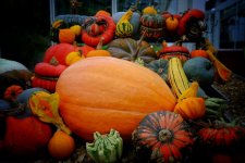 IMG_1676.jpeg