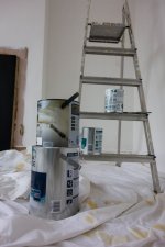 Emulsional.jpg