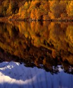 2013-11-10, RZ67, Velvia 50, Back 3C, River Affric , 4-2.jpg 2013-11-10, RZ67, Velvia 50, Back 3C, River Affric , 4-2.jpg