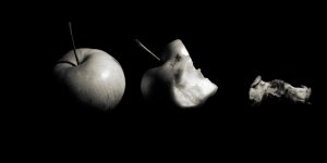 2025-10-23 Apples, Horseman L45, Ektar 203mm, FP4, EI125, HC110 Dil B, 3.jpg