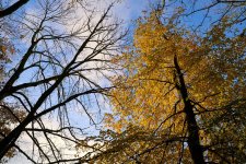 02-11-25 - DSC01160 1.jpg