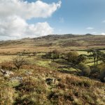 002 Black-a-Ven Cullever Steps 02-1002323 PS Adj Upload.jpg