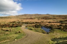 020 Cullever Steps 02-1000282 PS Adj Upload.jpg