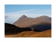 Quinag and the tree.jpg Quinag and the tree.jpg