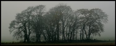 DSC_4071.JPG
