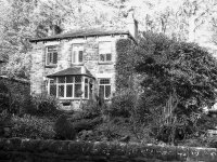 someones garden-2.jpg