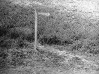 Signpost.jpg