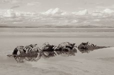 2025-09-29-0045-copy.jpg v2.jpg