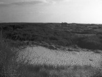 The sands-2.jpg The sands-2.jpg