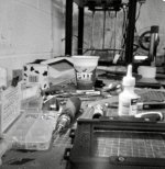 dsc05886.jpeg