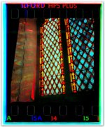 IMG_4216.jpeg