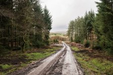 024 Way Back 04-3772 PS Adj Upload.jpg