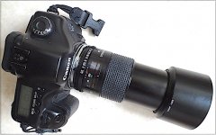 Camera Canon 5D with Tamron AD2 90mm Macro lens DSC00025.JPG Camera Canon 5D with Tamron AD2 90mm Macro lens DSC00025.JPG