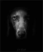 IMGL1243 PS JP tp.jpg