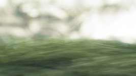 Week 47 - Abstract The Flowing Field.JPG Week 47 - Abstract The Flowing Field.JPG