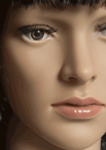 2x3_1ft_crop.gif