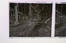 whats gone wrong-2.jpg