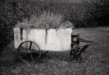 StillLife2.jpg
