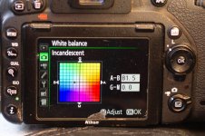WB settings-2.jpg WB settings-2.jpg