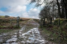 012 Conchie Road 01-3895 PS Adj Upload.jpg