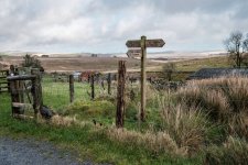 009 Bridleway Signpost 01-3888 PS Adj Upload.jpg