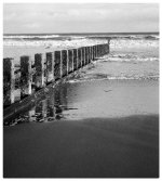 Portfolio 4_ Found_2412_D2.JPG