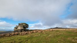 021 Little Mis Tor 03-3420 PS Adj Upload.jpg