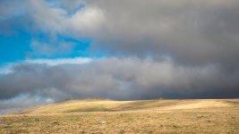 029 Gt Mis Tor 15-0044 PS Adj Upload.jpg