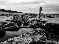 002 Windy Post 01-3941 PS Adj Upload.jpg