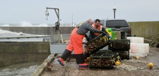 Work and Hobbies_Shell Fishers_2412_D2.JPG