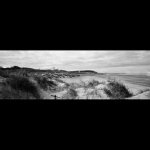 IMG_5891.jpeg IMG_5891.jpeg
