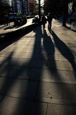 IMG_4442.jpeg IMG_4442.jpeg